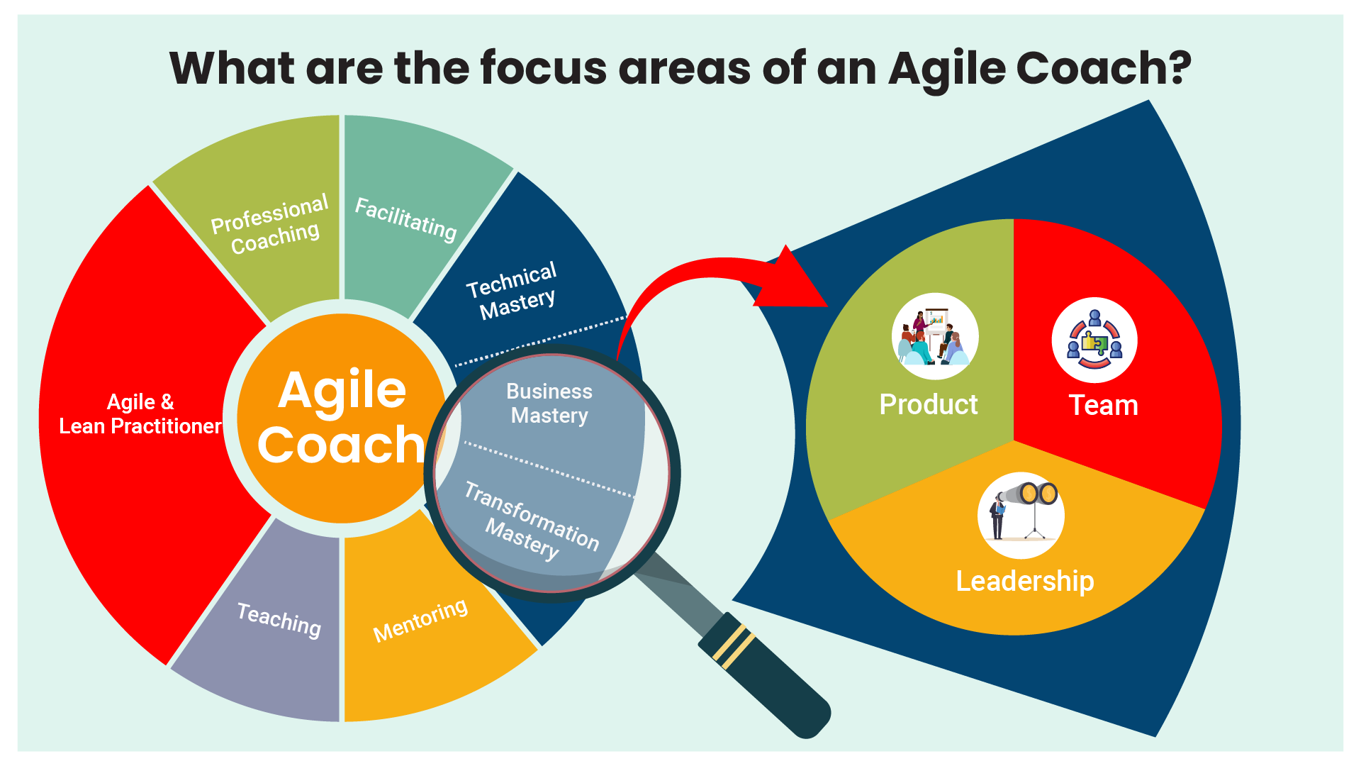 AGILE COACHING / TRAINING