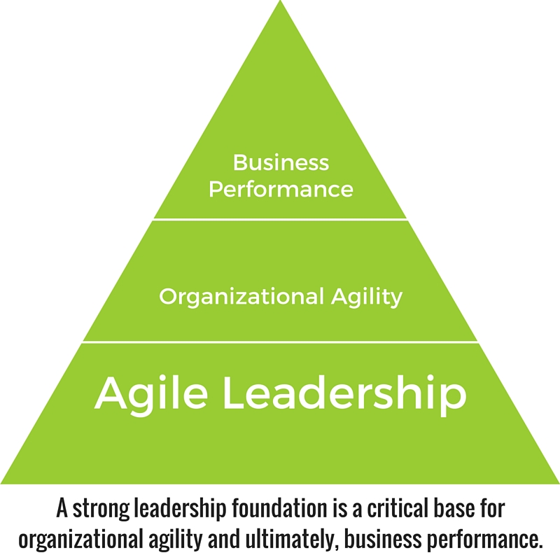 9 nguyên tắc Agile Leadership – nền tảng của chuyển đổi